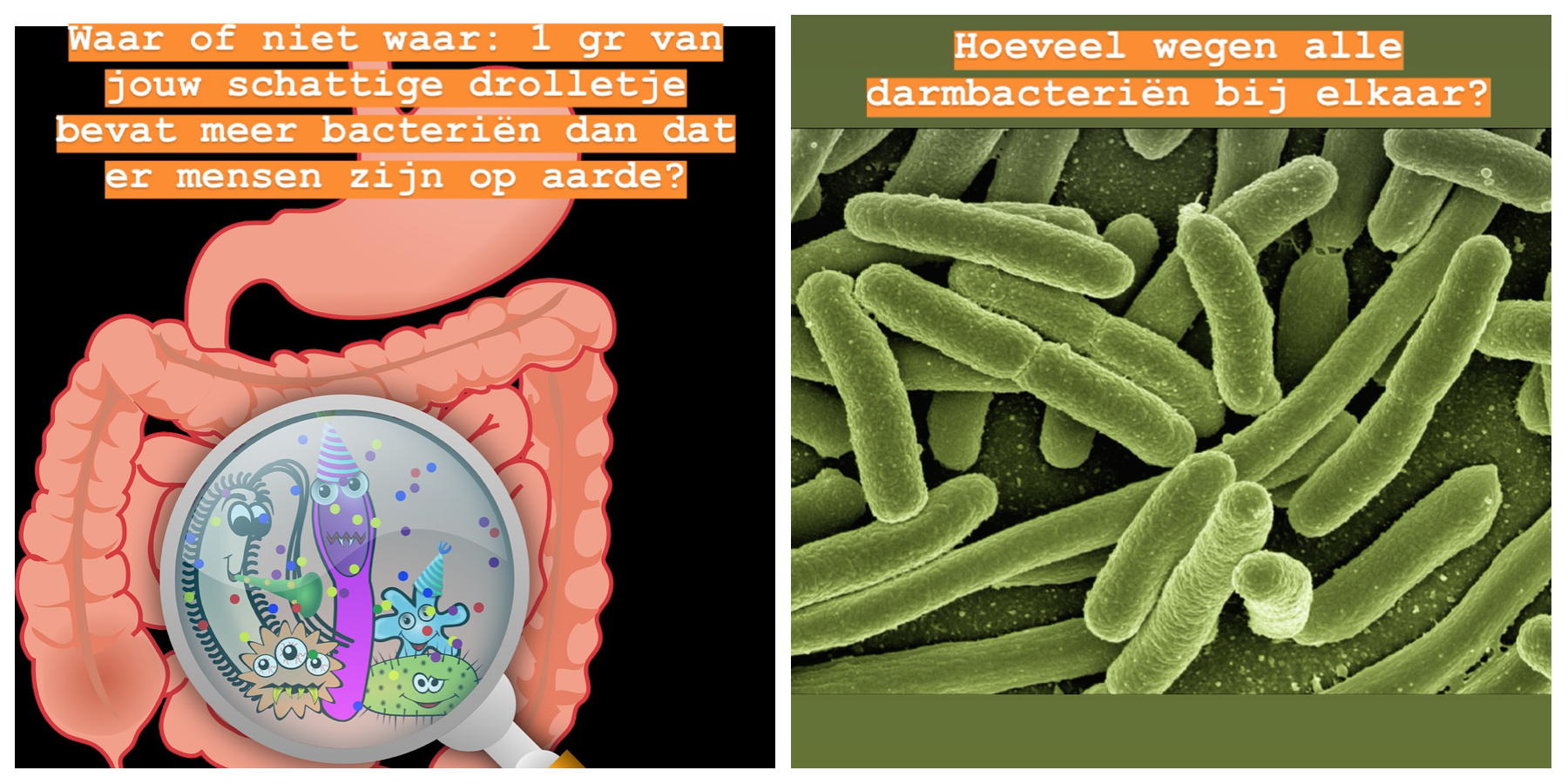 De mooie voedselmachine: alles over de darmen, een onderschat orgaan