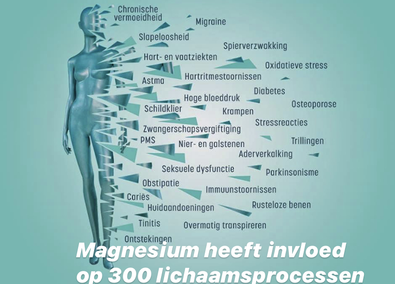 You-Mens_EMBtest Online_Mineralen_Magnesium